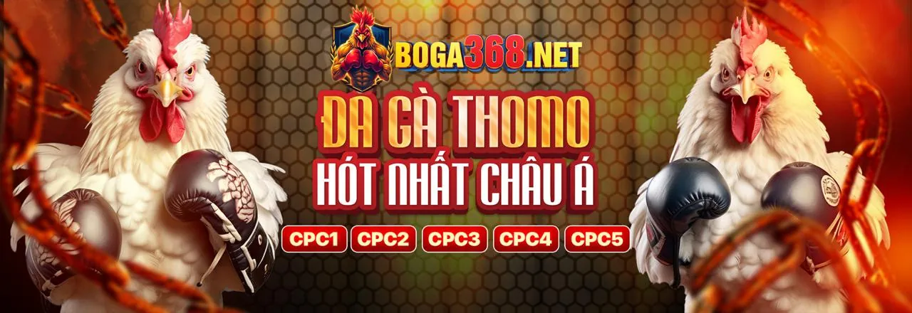 Hình ảnh hỗ trợ khách hàng 678win web
